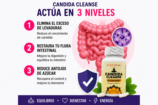 CANDIDA CLEANSE original